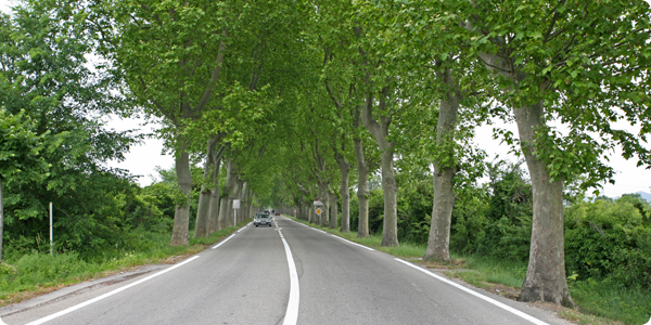 enlevement gratuit d'un vehicule dans les Bouches du Rhone
